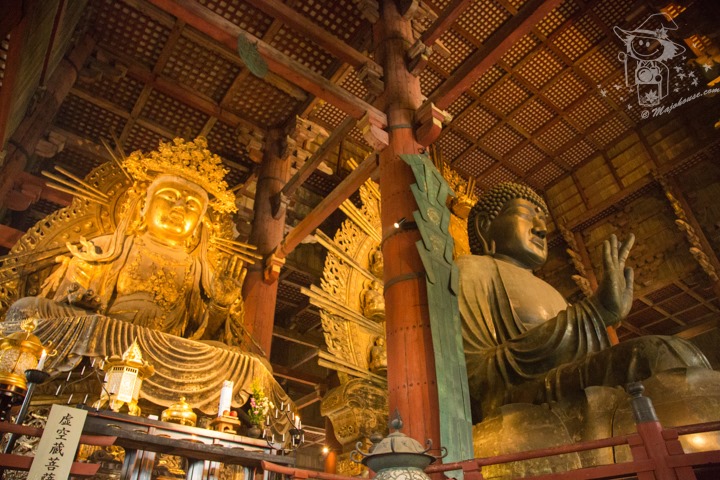 Majo Photograph Majo Photograph