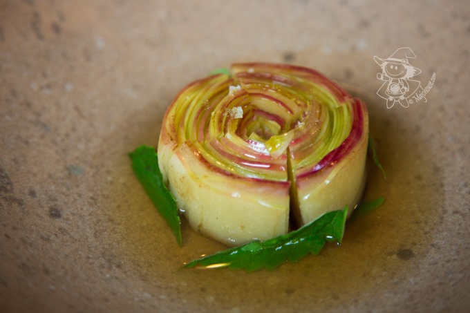 Majo Photograph Majo Photograph