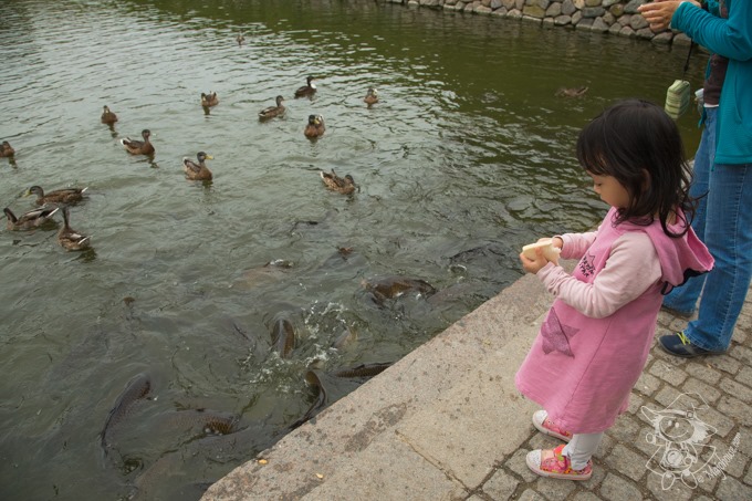 Majo Photograph Majo Photograph