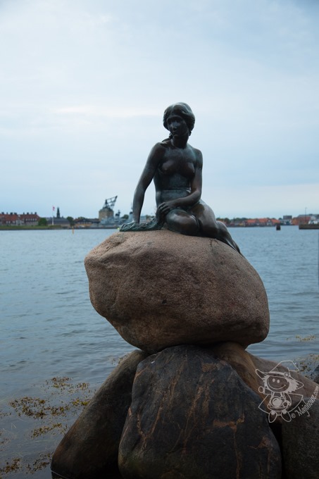 Majo Photograph Majo Photograph