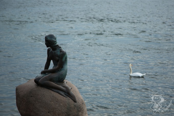 Majo Photograph Majo Photograph