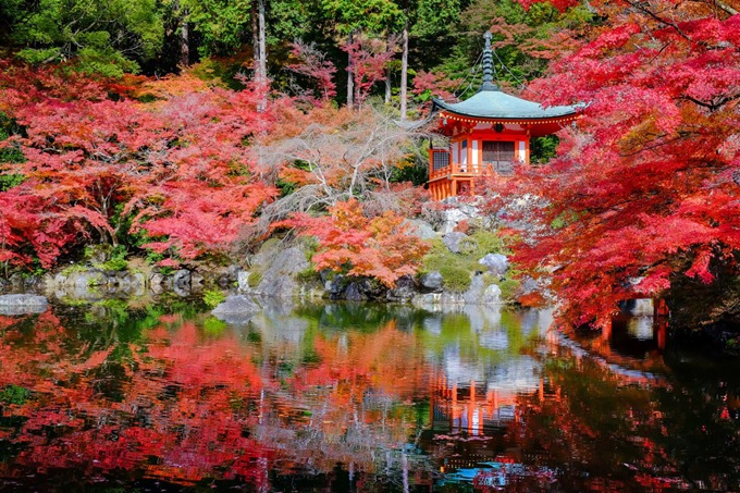 Kyoto_Daigoji_Fall