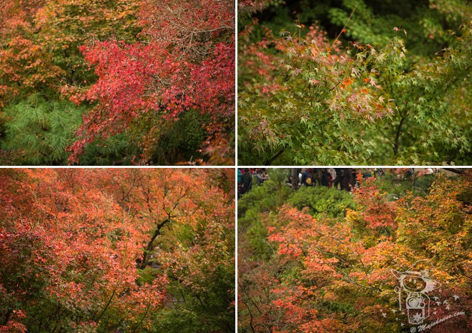 Kyoto_Tofuku-Ji_26