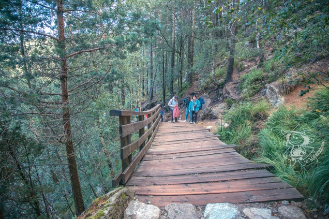 Majo Photograph Majo Photograph