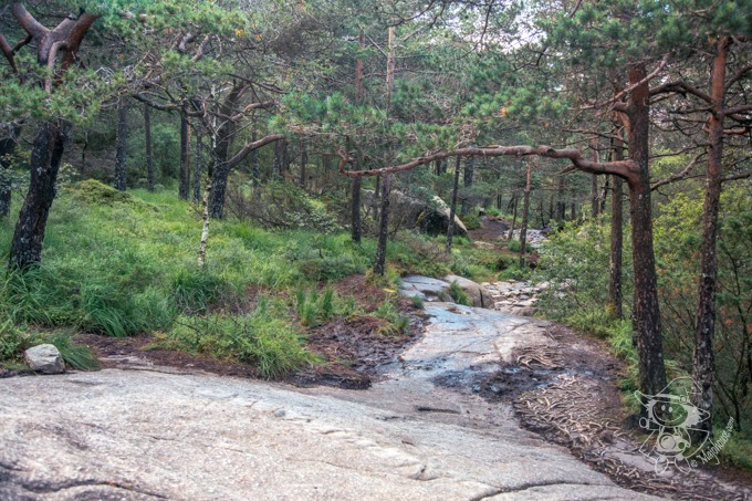 Majo Photograph Majo Photograph