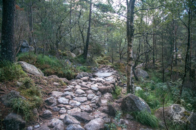 Majo Photograph Majo Photograph