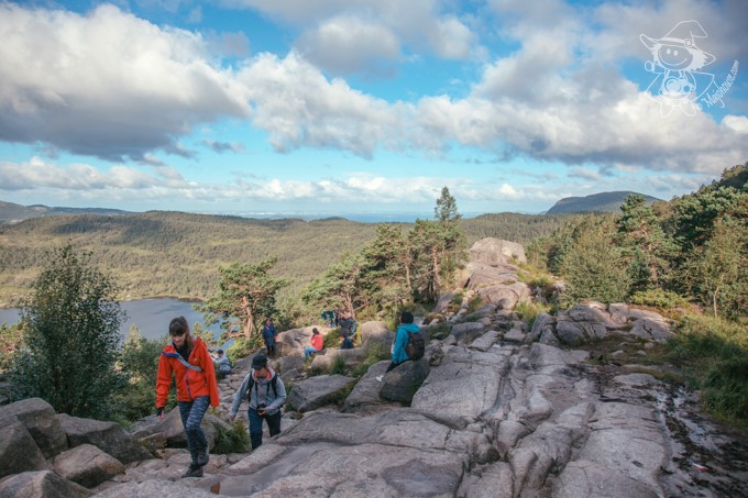 Majo Photograph Majo Photograph