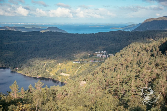 Majo Photograph Majo Photograph