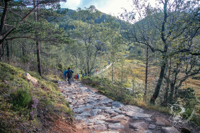 Majo Photograph Majo Photograph