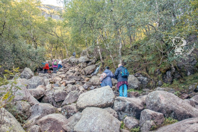 Majo Photograph Majo Photograph