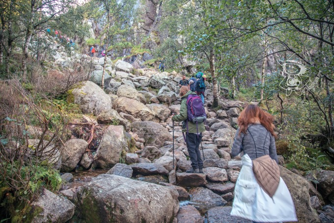 Majo Photograph Majo Photograph