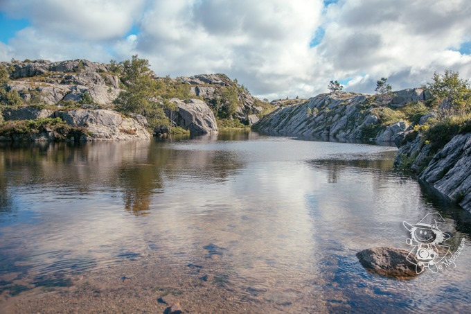 Majo Photograph Majo Photograph