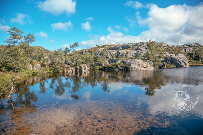 Majo Photograph Majo Photograph