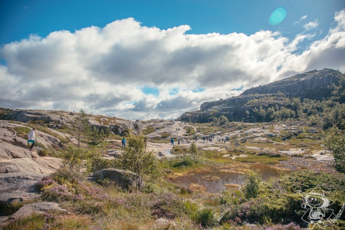 Majo Photograph Majo Photograph