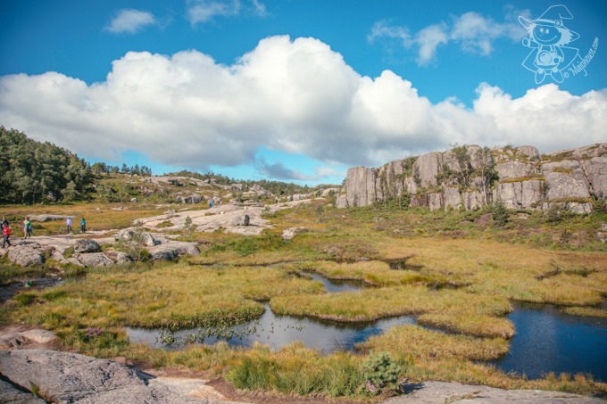 Majo Photograph Majo Photograph