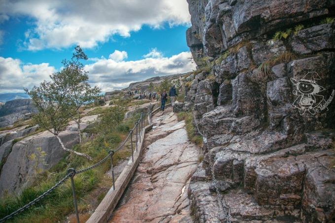 Majo Photograph Majo Photograph