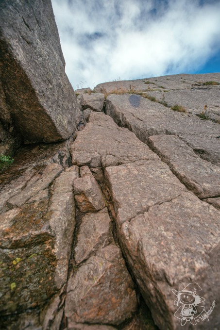 Majo Photograph Majo Photograph