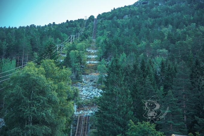 Majo Photograph Majo Photograph