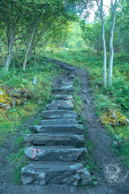 Majo Photograph Majo Photograph