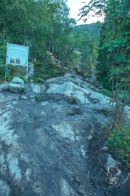 Majo Photograph Majo Photograph