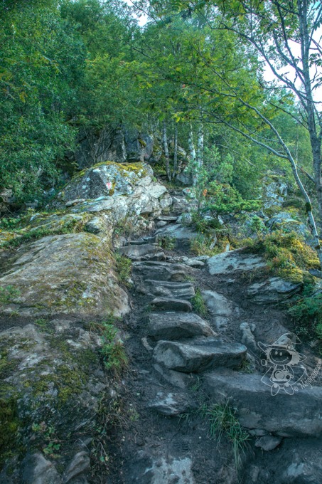 Majo Photograph Majo Photograph