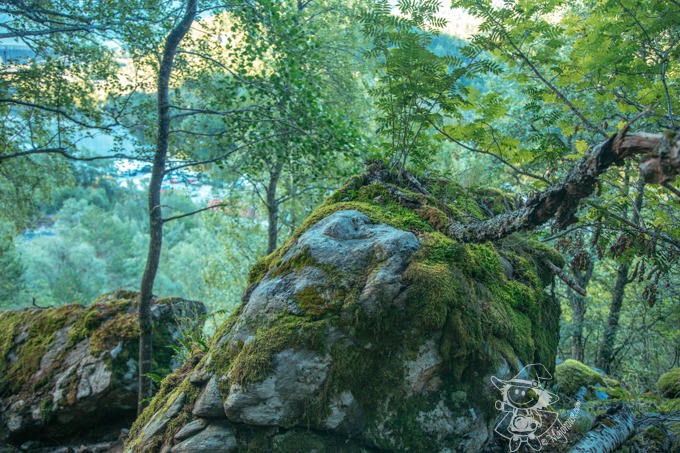 Majo Photograph Majo Photograph