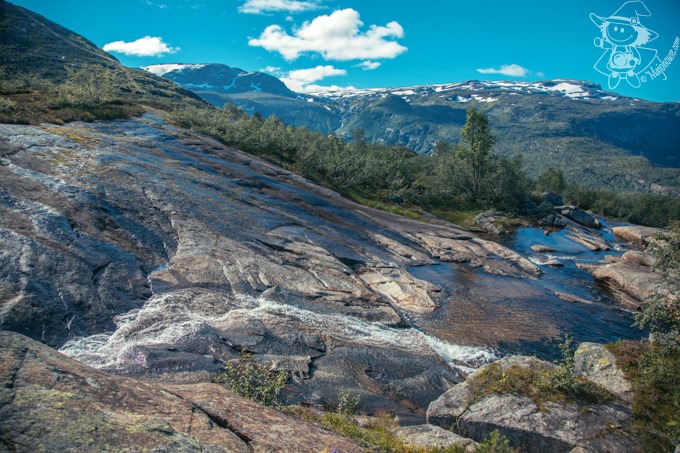 Majo Photograph Majo Photograph