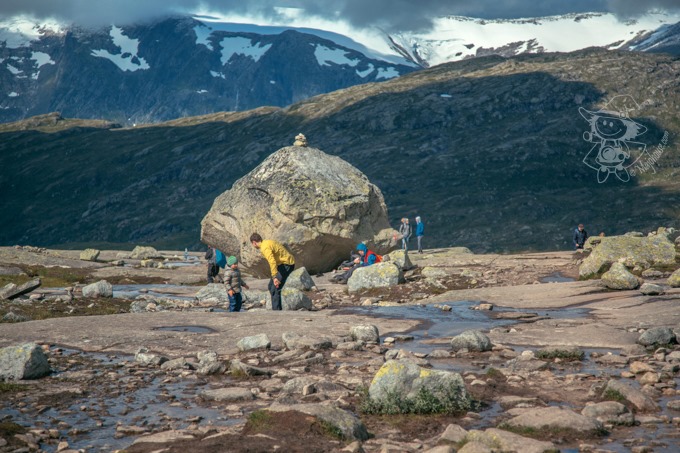 Majo Photograph Majo Photograph