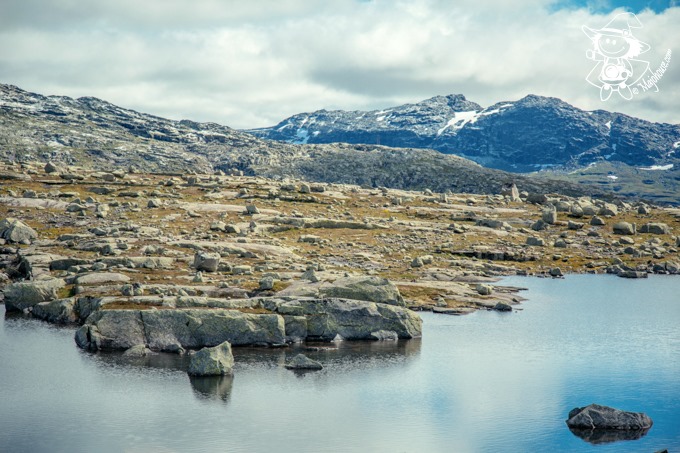 Majo Photograph Majo Photograph