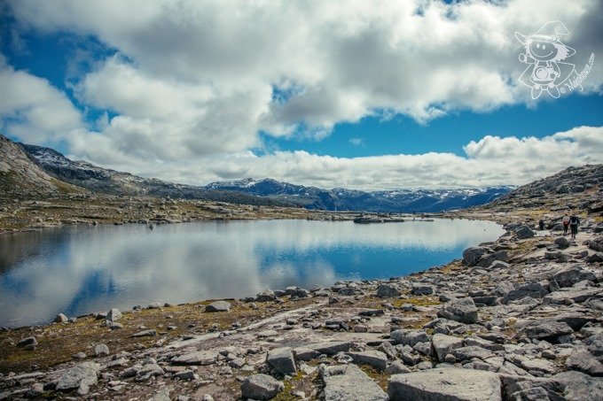 Majo Photograph Majo Photograph