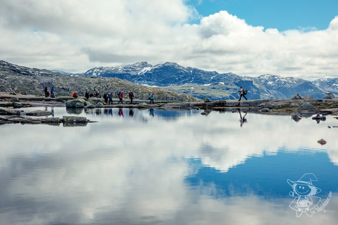 Majo Photograph Majo Photograph