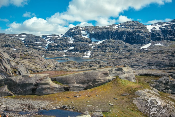 Majo Photograph Majo Photograph