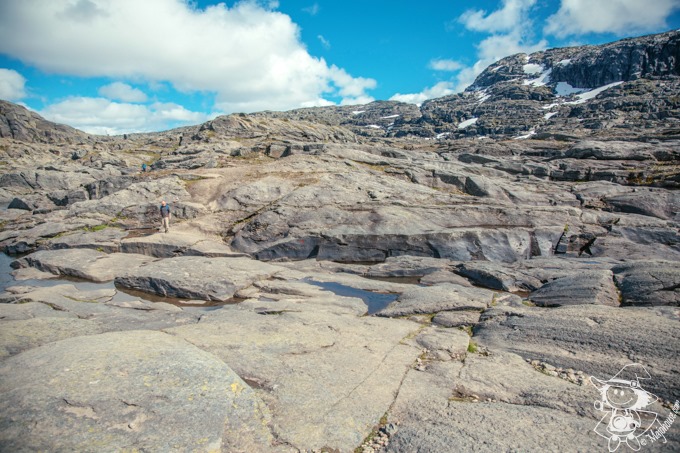 Majo Photograph Majo Photograph