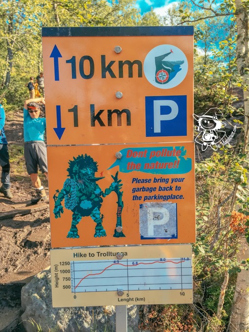 Majo Photograph Majo Photograph